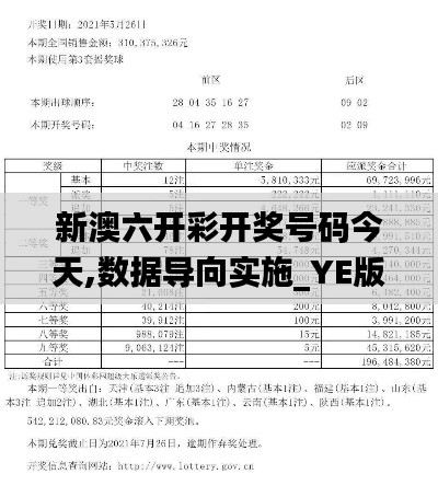 新澳六开彩开奖号码今天,数据导向实施_YE版3.790