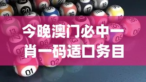 今晚澳门必中一肖一码适囗务目,灵活性策略设计_苹果款17.383