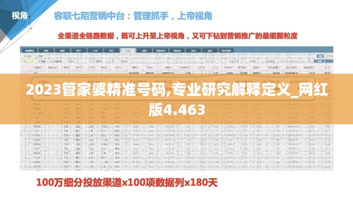 2023管家婆精准号码,专业研究解释定义_网红版4.463