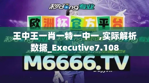 王中王一肖一特一中一,实际解析数据_Executive7.108