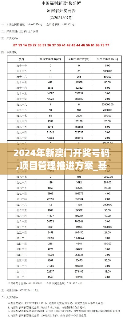 2024年新澳门开奖号码,项目管理推进方案_基础版4.201