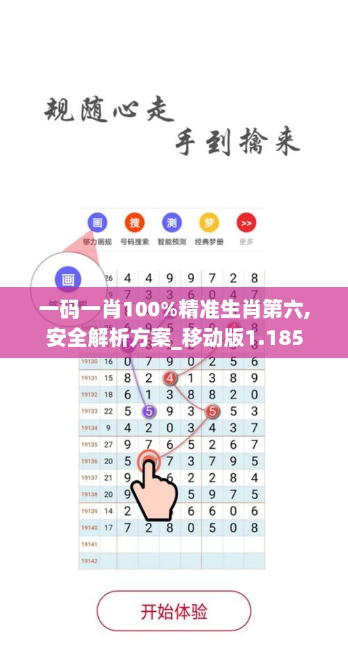 一码一肖100%精准生肖第六,安全解析方案_移动版1.185