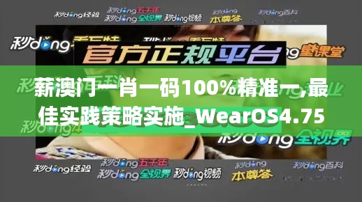 薪澳门一肖一码100%精准一,最佳实践策略实施_WearOS4.756