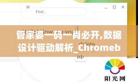 管家婆一码一肖必开,数据设计驱动解析_Chromebook6.359