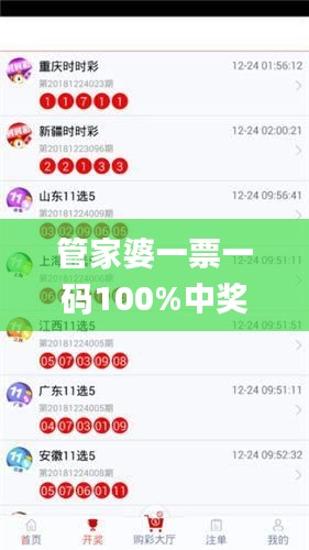 管家婆一票一码100%中奖香港,全面数据应用实施_N版5.949