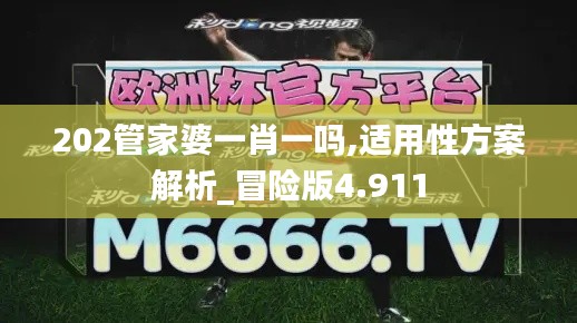 202管家婆一肖一吗,适用性方案解析_冒险版4.911