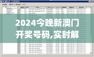 2024今晚新澳门开奖号码,实时解答解释定义_LE版1.148