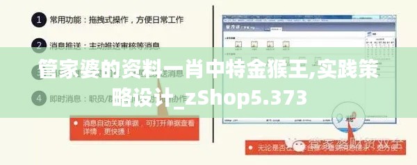 管家婆的资料一肖中特金猴王,实践策略设计_zShop5.373