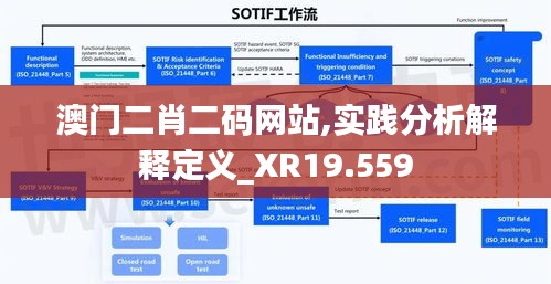 澳门二肖二码网站,实践分析解释定义_XR19.559