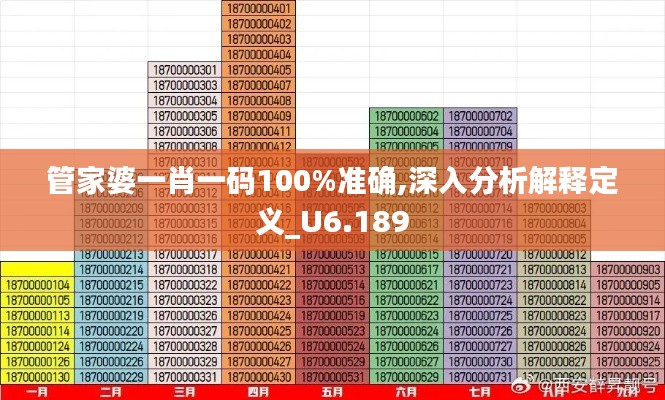 管家婆一肖一码100%准确,深入分析解释定义_U6.189