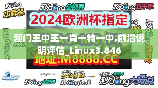 澳门王中王一肖一特一中,前沿说明评估_Linux3.846