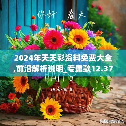 2024年天天彩资料免费大全,前沿解析说明_专属款12.370