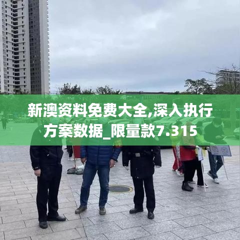 新澳资料免费大全,深入执行方案数据_限量款7.315