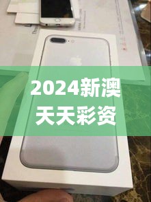 2024新澳天天彩资料免费提供,稳定执行计划_iPhone8.650