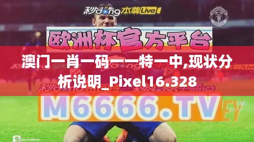 澳门一肖一码一一特一中,现状分析说明_Pixel16.328