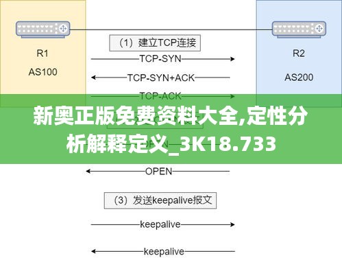 新奥正版免费资料大全,定性分析解释定义_3K18.733