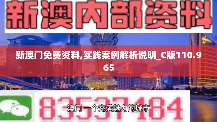 新澳门免费资料,实践案例解析说明_C版110.965