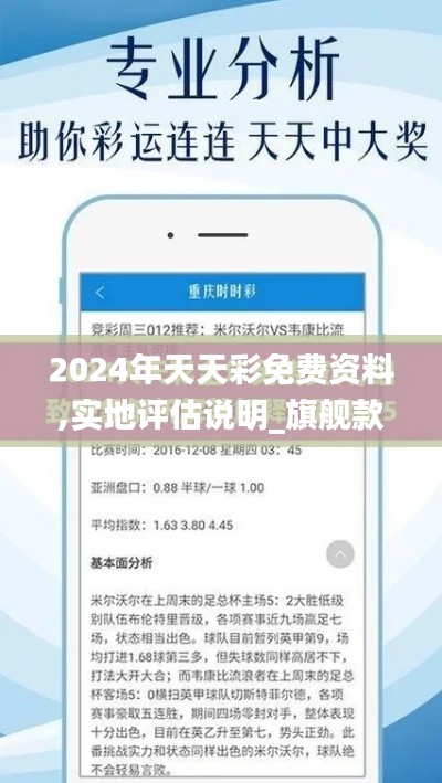 2024年天天彩免费资料,实地评估说明_旗舰款3.246