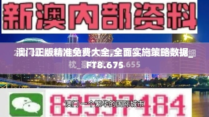 澳门正版精准免费大全,全面实施策略数据_FT8.675