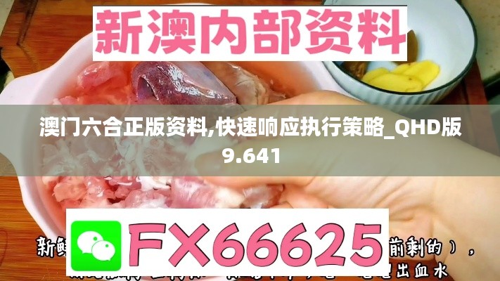 澳门六合正版资料,快速响应执行策略_QHD版9.641