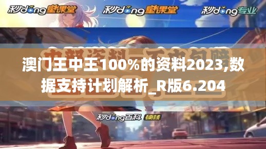 澳门王中王100%的资料2023,数据支持计划解析_R版6.204