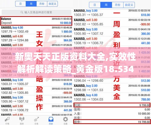 新奥天天正版资料大全,实效性解析解读策略_黄金版18.534