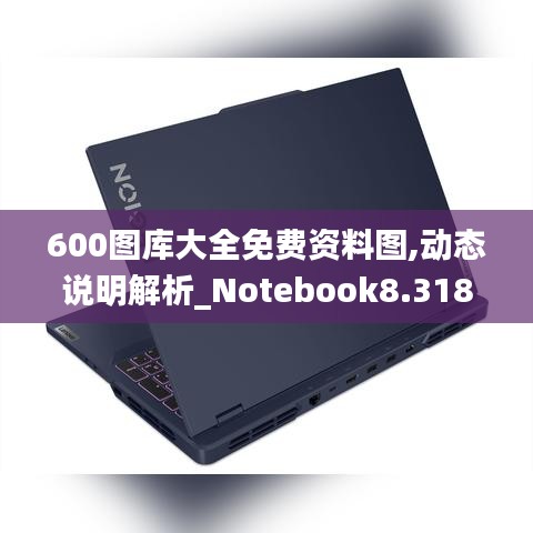 600图库大全免费资料图,动态说明解析_Notebook8.318