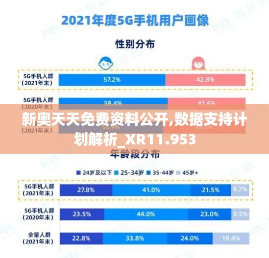 新奥天天免费资料公开,数据支持计划解析_XR11.953