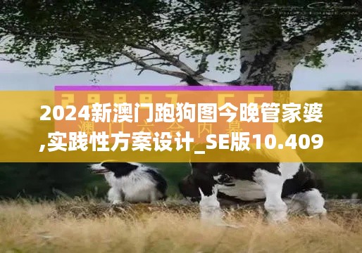 2024新澳门跑狗图今晚管家婆,实践性方案设计_SE版10.409