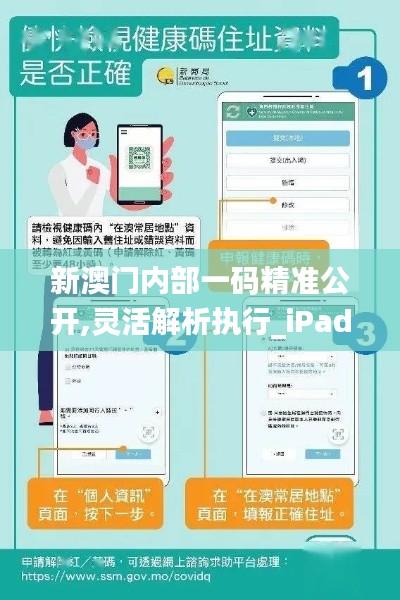 新澳门内部一码精准公开,灵活解析执行_iPad6.470