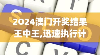 2O24澳门开奖结果王中王,迅速执行计划设计_网页款10.234