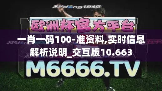 一肖一码100-准资料,实时信息解析说明_交互版10.663