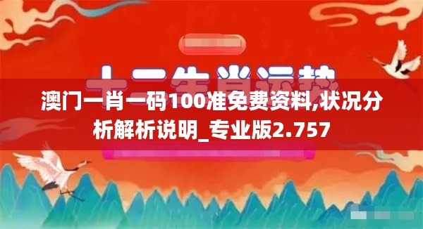 澳门一肖一码100准免费资料,状况分析解析说明_专业版2.757