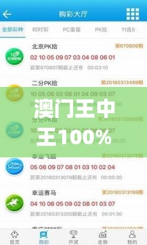 澳门王中王100%正确答案最新章节,预测解答解释定义_手游版8.752