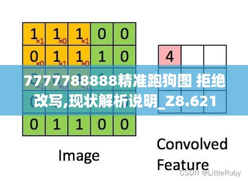 7777788888精准跑狗图 拒绝改写,现状解析说明_Z8.621