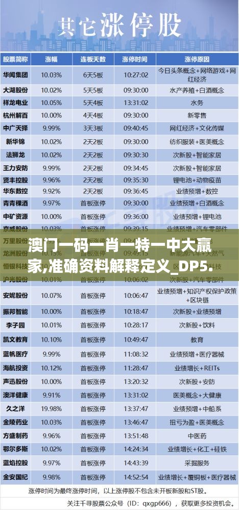 澳门一码一肖一特一中大羸家,准确资料解释定义_DP5.388