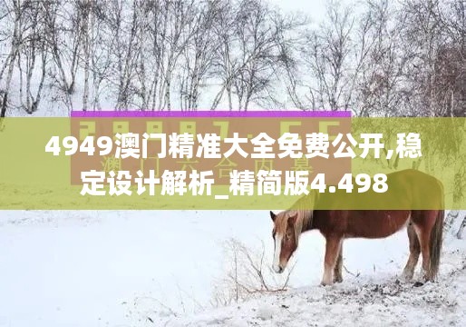 4949澳门精准大全免费公开,稳定设计解析_精简版4.498