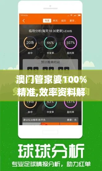 澳门管家婆100%精准,效率资料解释定义_4K版10.844