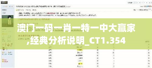 澳门一码一肖一特一中大羸家,经典分析说明_CT1.354